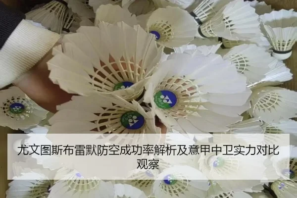 尤文图斯布雷默防空成功率解析及意甲中卫实力对比观察
